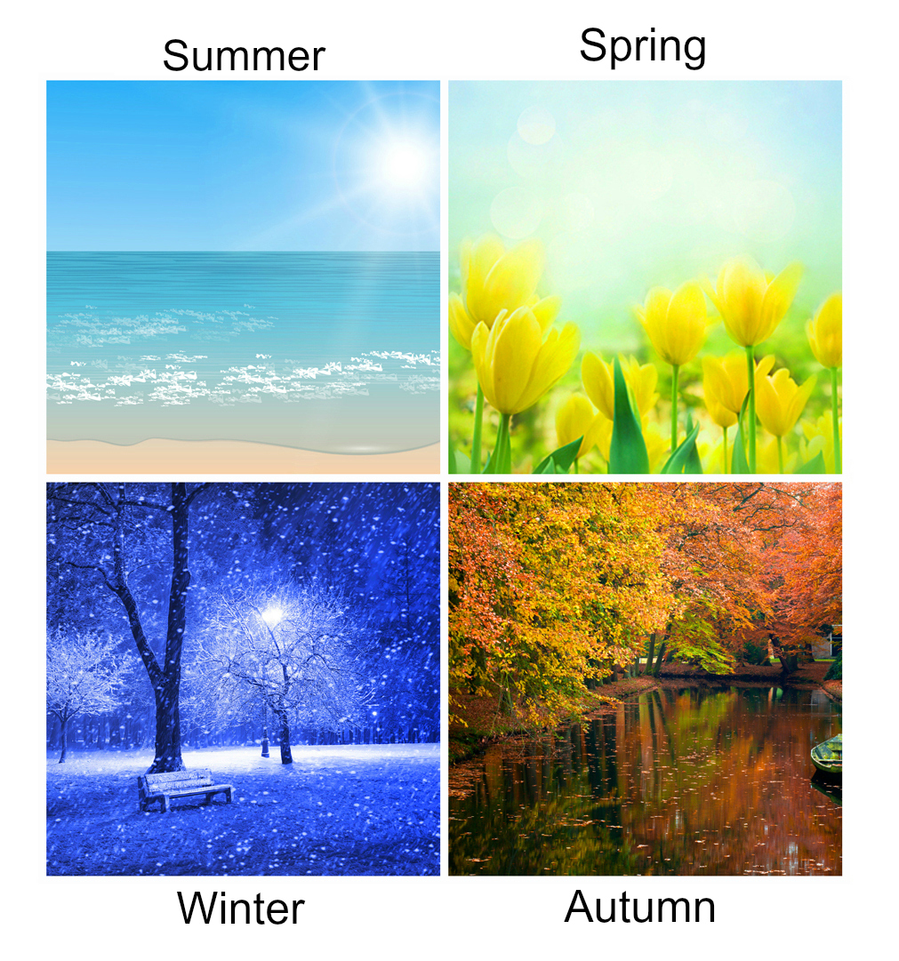 4 seasons of nature