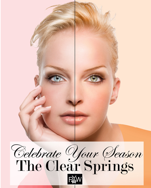 eBook for the Clear Springs cover eBook for the Clear Springs cover