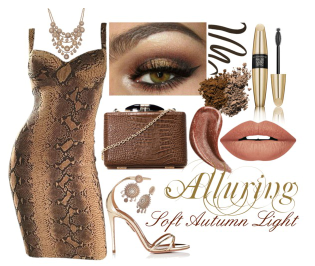 Soft Autumn light polyvore look 1