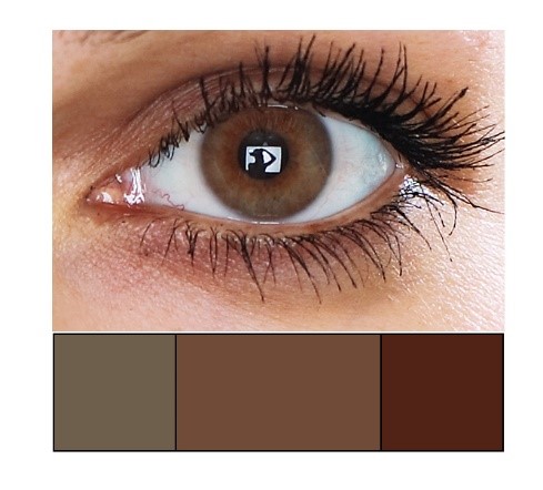 Brown eye color swatch. Brown eye color swatch.