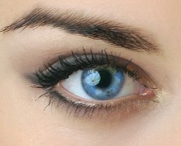 Blue Eyes Closeup