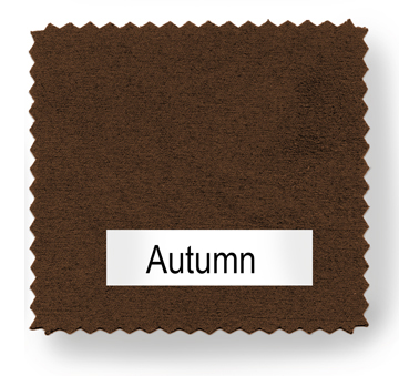 Iconic color for Autumn Brown