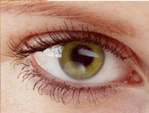 Warm green eye closeup