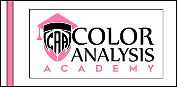 small color analysis banner